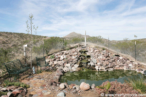 Finished pond