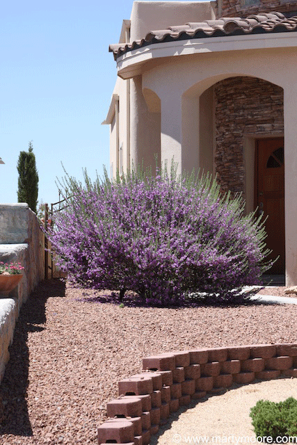 Landscaping idea